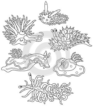 Sea monsters - molluscs