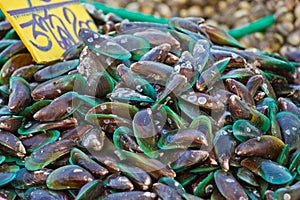 Sea mussels in thai market