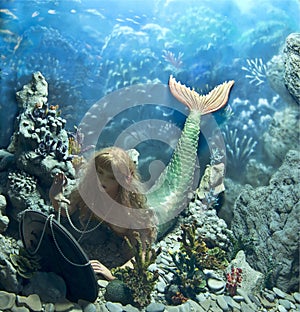 Sea nimph photo