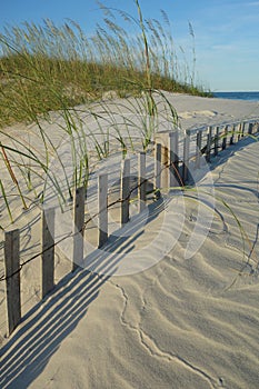 Sea oats grass and buried dune fence at Wrightsville Beach (Wilmington) North Carolina