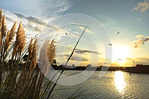 Sea oats grass near the Intracoastal waterway at sunset