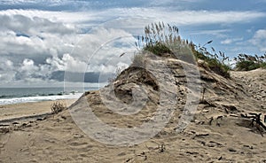 Sea oats and sand dunes on the Outer Banks