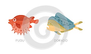 Sea Ocean Fishes Set, Fugu, Dorado Fish Flat Vector Illustration