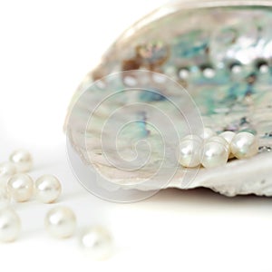 Sea ocean shell ultranmarine color with tiny nacre pearls square isolated white background