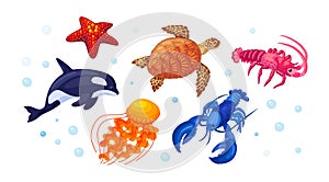 Sea ocean underwater animals. Different sea animals fish of seafood collection sea turtle, killer whale, lobster, starfish