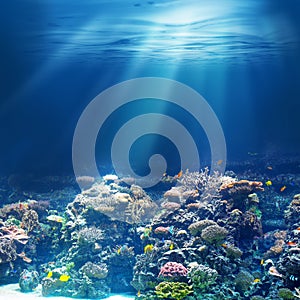 Sea or ocean underwater coral reef snorkeling or diving