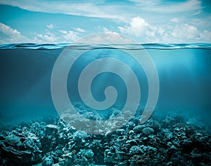 Sea or ocean underwater deep nature background photo