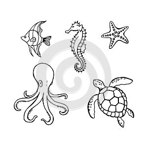 Sea or ocean underwater life with different animals. Hand drawn illustration converted to vector