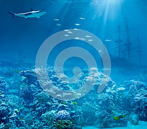 Sea or ocean underwater, shark and sunk treasures