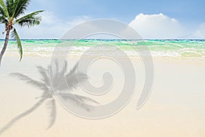 Sea Ocean Water on Sand Beach with Tree Palm Blue Horizon Background, Texture Surface Calm Wave Summer Shadow Leaf Day Light