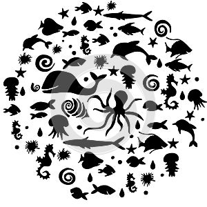 MArine life fish pattern