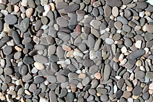 Sea pebble