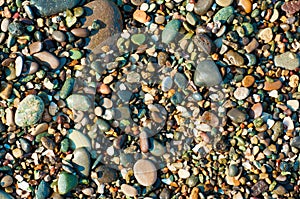 Sea pebble