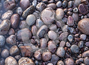 Sea pebble as background.