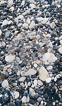 Sea pebble background