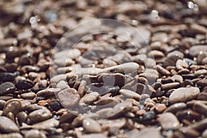 Sea pebble background