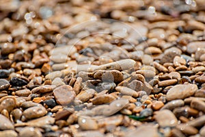 Sea pebble background