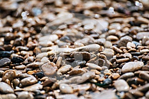 Sea pebble background