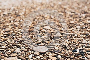 Sea pebble background