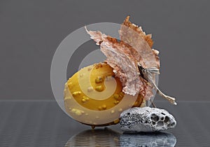 Sea pebble and decorative pumpkin