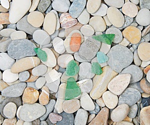 Sea pebble and glass