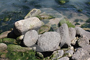 Sea pebble / sea stones background/ beach rocks.