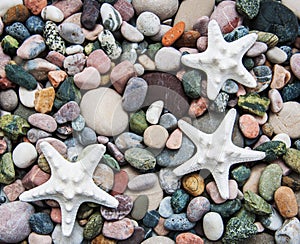 Sea pebble stones and starfish