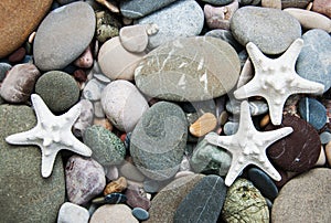 Sea pebble stones and starfish