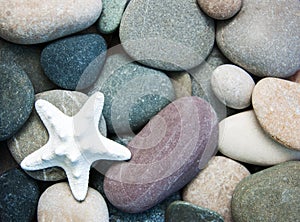 Sea pebble stones and starfish