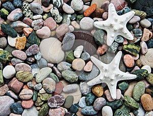 Sea pebble stones and starfish