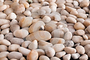 Sea pebbles background, natural seashore stones