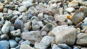 Sea pebbles. Background of pebbles. Wet stones. Multicolored pebbles. Sea shore.