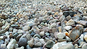 Sea pebbles. Background of pebbles. Wet stones. Multicolored pebbles. Sea shore.