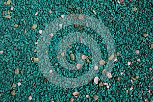 Sea pebbles of green color with shells of different color and size.