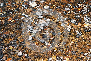 Sea pebbles on a river bed, Mount Kenya