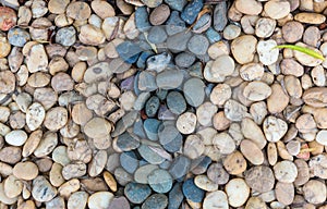 Sea pebbles. Small stones gravel texture background.Pile of pebble. Color stone in background.