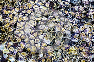 Sea pebbles. Small stones gravel texture background.Pile of pebbles, thailand.Color stone in background.