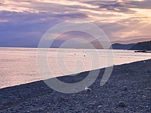 The sea and the pebbly shore are illuminated by the setting sun, the cloudy sky is colored by the sunset light