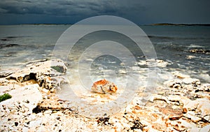 Sea-polished stones photo