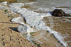 Sea pollution, big quantity of sea foam on the shore