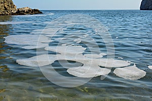 Sea pollution, marine snow on water surface