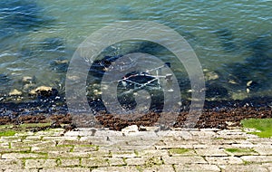 Sea pollution at port