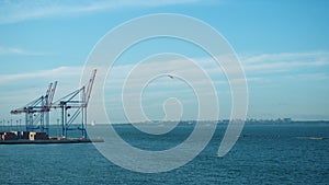 Sea port cargo terminal on calm sunny morning. Uploading cranes at cloudy sky