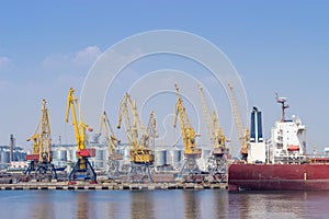 Sea port with dry cargo and grain terminals, harbor cranes