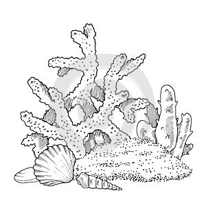 Sea print Vector Line art. Coral reef outline. Hand drawn black and white graphic clipart. Linear drawing of underwater