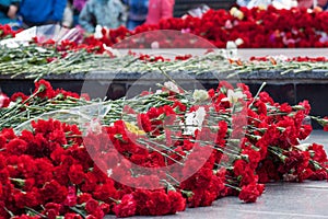 Sea of red carnations at the memorial to fallen soldiers in the world war II