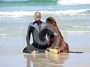 El mar ahorrar el perro 