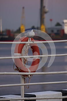 Sea or river port with ships where a seagull sits on a lifebuoy