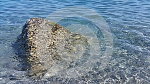 A sea rock in the water