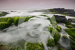 Sea rocks in Salalah Khareef monsoon season